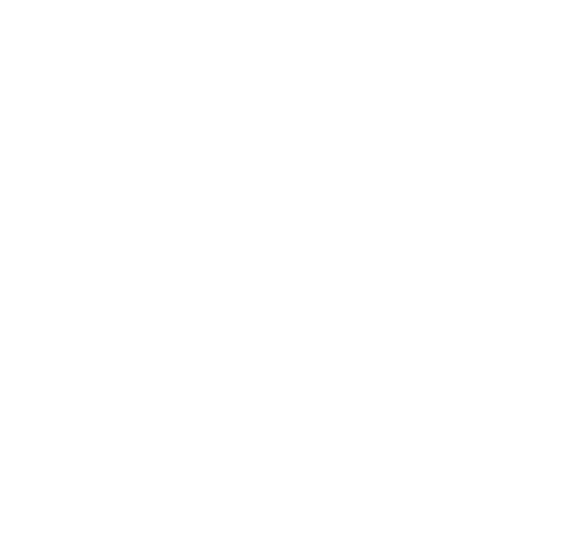 blasmusiktage_logo_2022_weiss Blasmusiktage Zürich 2022